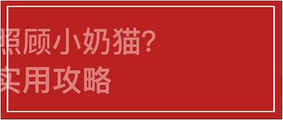 八种方法如何捡到可爱的小奶猫,捡到小奶猫怎么处理不能养