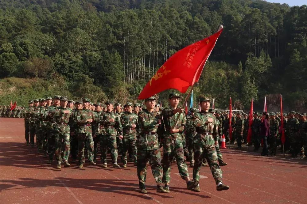 高职高考广东看什么,广东高职高考复习看哪些老师