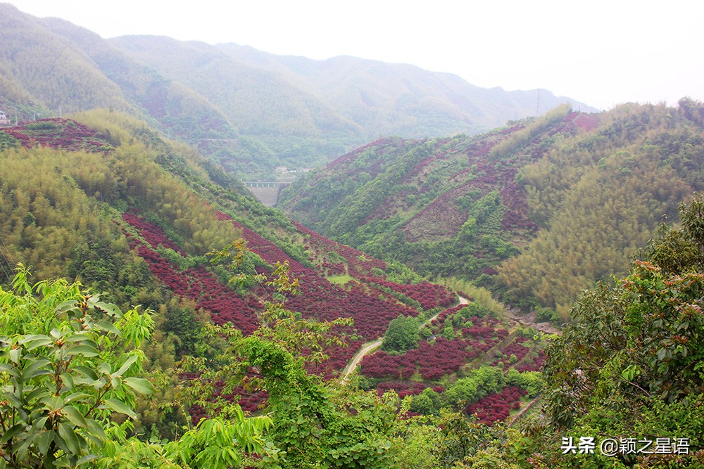 四明山十大观景台排名,四明山观景平台海拔