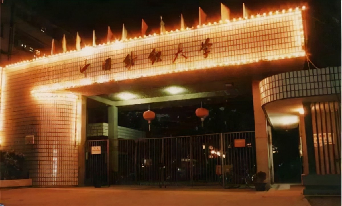 28年前，广州姑娘远嫁非洲黑人，生下两个混血宝宝，后来怎么样了