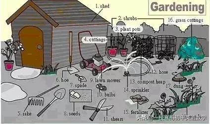17张词汇图让英语融入生活,英语生活用词