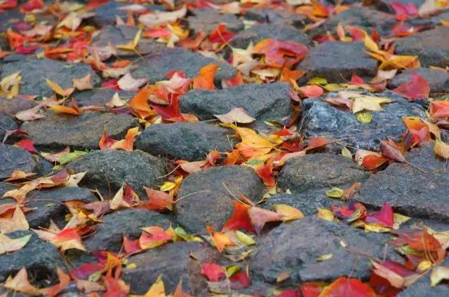 六月我们一起去旅行,九月带你去旅行