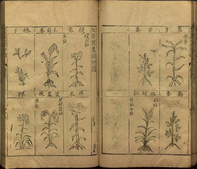 李时珍与本草纲目ppt课件,神农本草经正版李时珍书籍