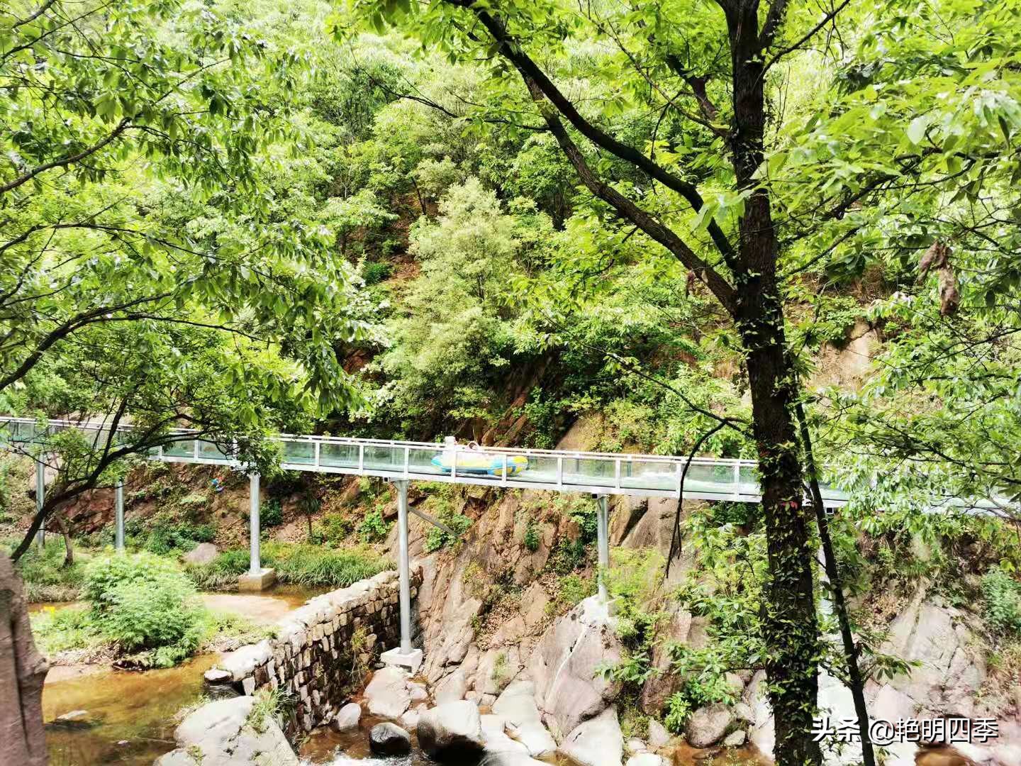 平顶山画眉谷旅行,鲁山县画眉谷视频