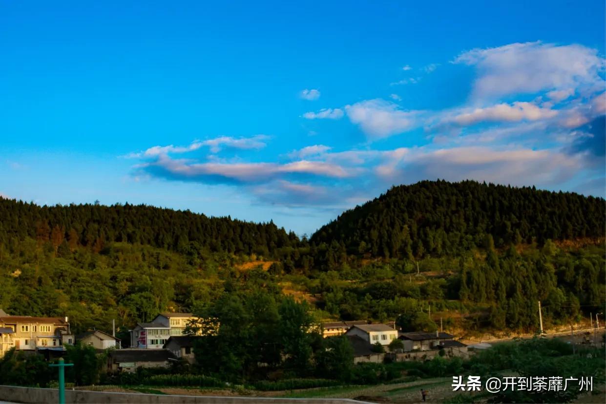 浜戝崡涓嵂閲庢灉澶у叏,浜戝崡閲庢灉鑽潗