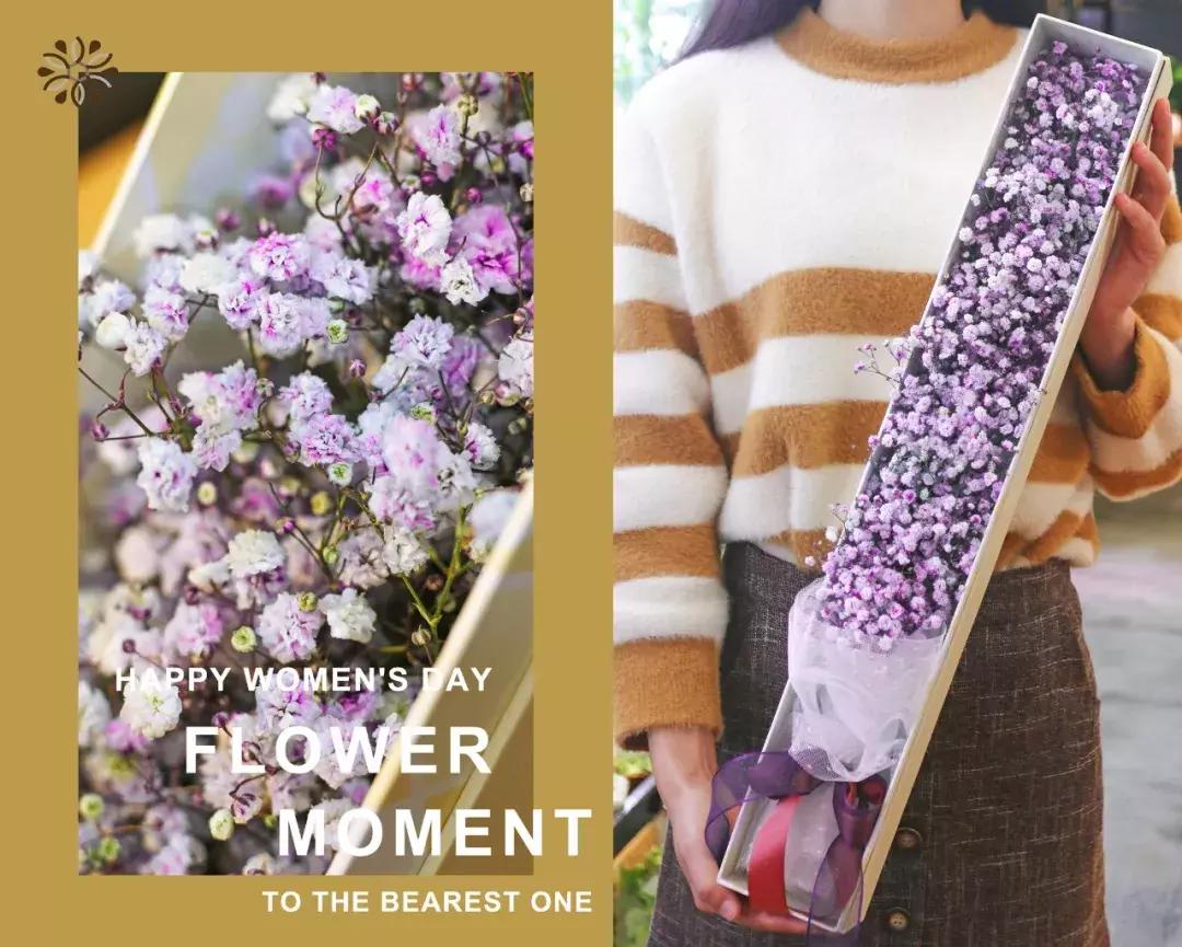 厦门这家超浪漫的鲜花餐厅,厦门最好看的花店