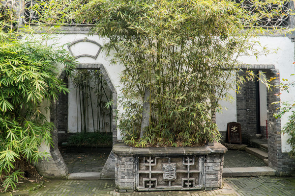 踏春赏花拍美景,踏春赏花逛湖