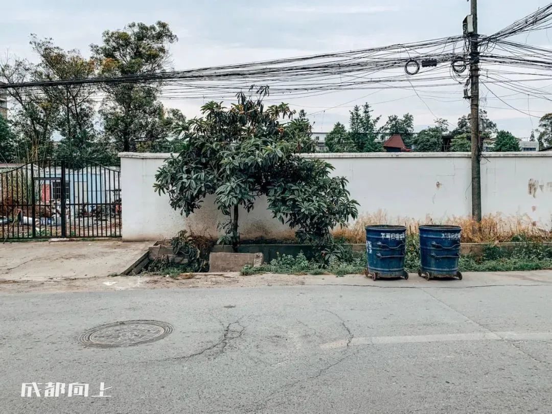 新繁现状,新繁为什么发展不起来