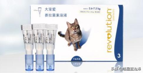 幼猫十大禁忌事件,幼猫要怎么驱虫和疫苗