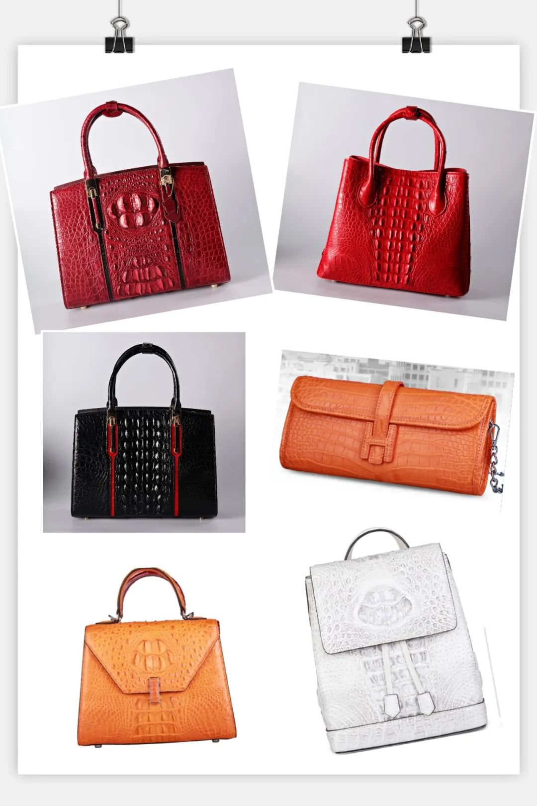 自己怎么区分鳄鱼皮的真假,鳄鱼皮终极扫盲