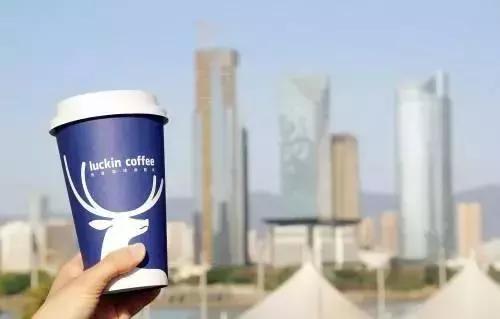 星巴克，我终于喝不起你了