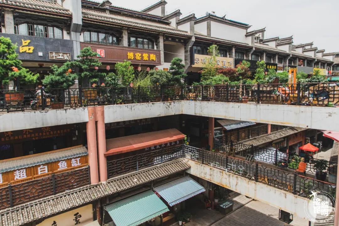 逛逛园博花鸟市场,园博花鸟市场攻略