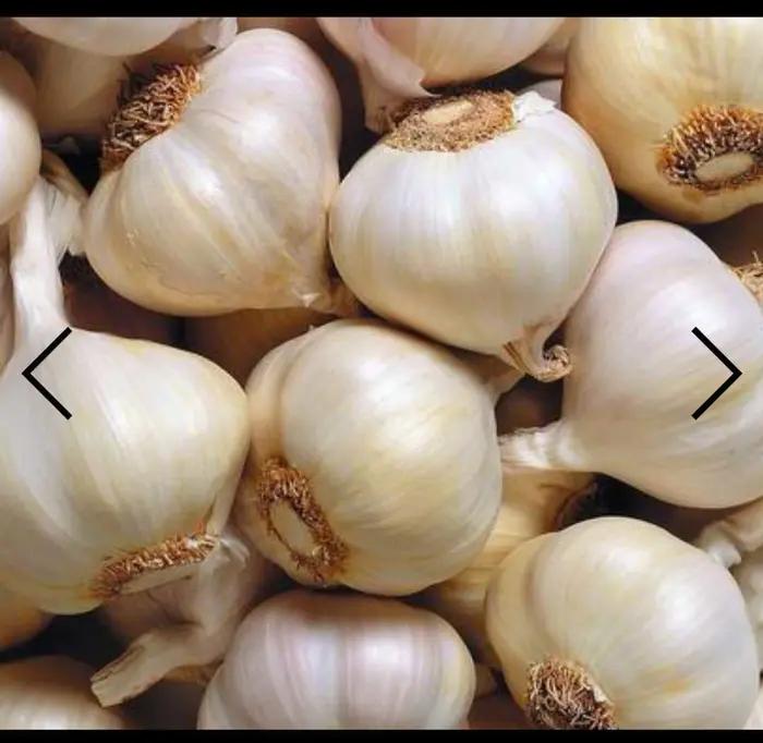 西山经解读,西山经图谱大全