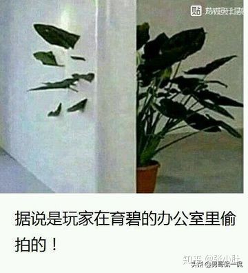 和平精英提高技术的小技巧,怎么才能在和平精英快速提高技术