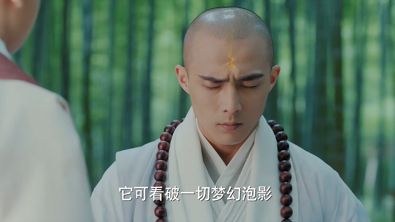 新白娘子传奇哪一集最值得看,新白娘子传奇1-50集简介