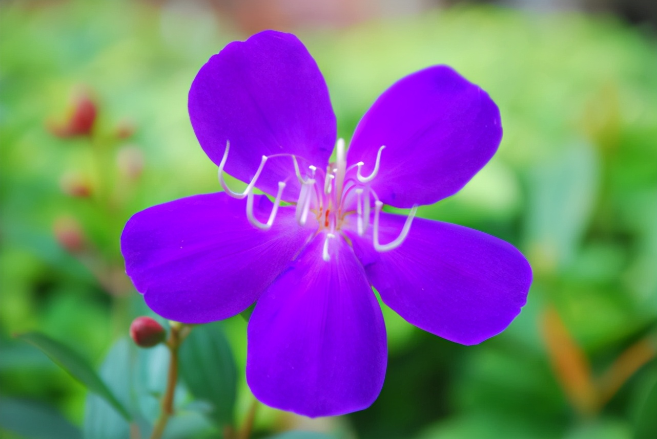 十二星座都有什么特点和缺点,十二星座特点优点和缺点图片