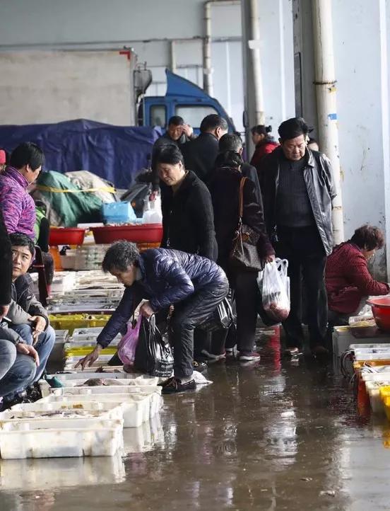 舟山白鲳,舟山的大白鲳