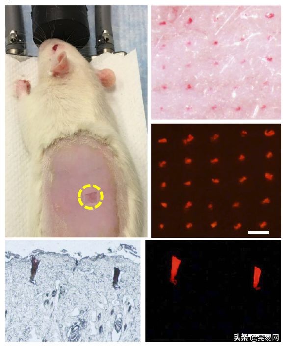 再见了大别山王宏伟原唱,再见了相互嫌弃的老同学