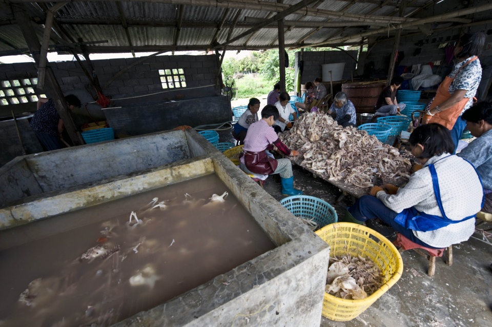 正宗的鱼翅汤,家庭自制鱼翅汤