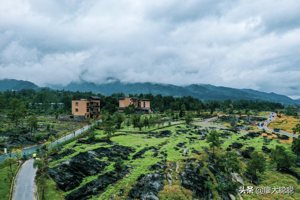 重庆这片花海你还没有来打开，那你就输了