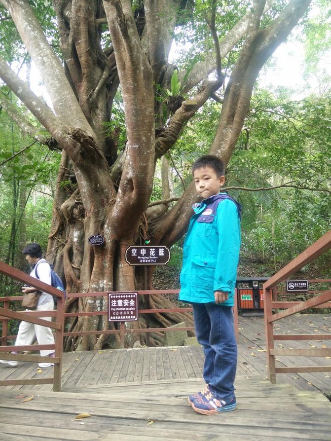 在三亚度过一段美好的时光,在三亚寻觅一处虚度光阴的地方