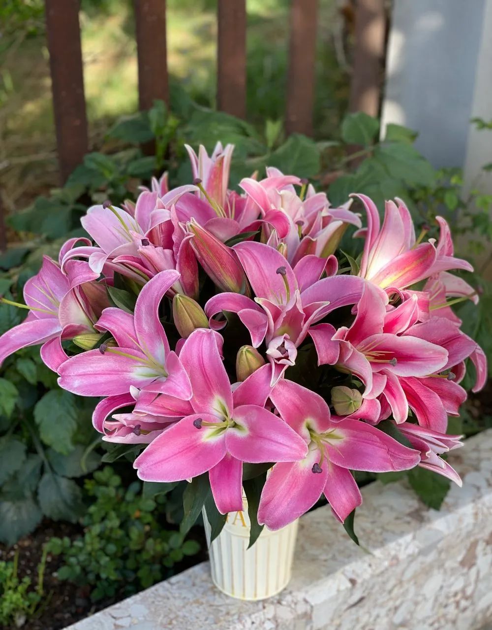 秋日赏花，百合必须要拥有姓名