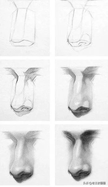 学画素描入门教程,学画人像素描应该先练会啥