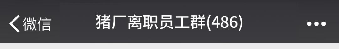 有智商的微信群名,当代年轻人的微信群名