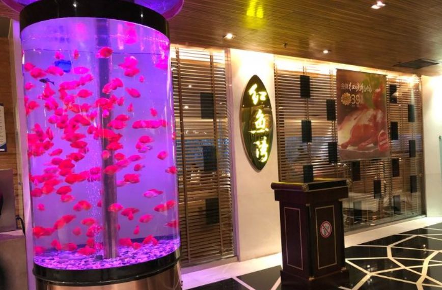 国际庄15家特点网红打卡聚餐圣地！你离美食不足100米的距离