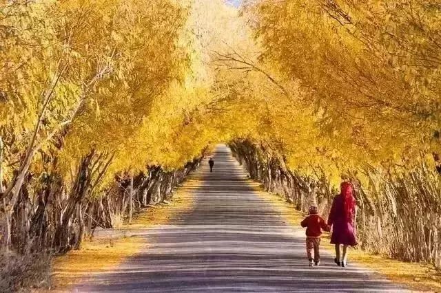 新疆喀什到巴基斯坦需要怎么过去,喀什通巴基斯坦公路