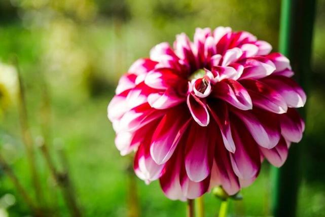 十二星座女无法逃避的爱情黑洞,十二星座无法抵抗的女生