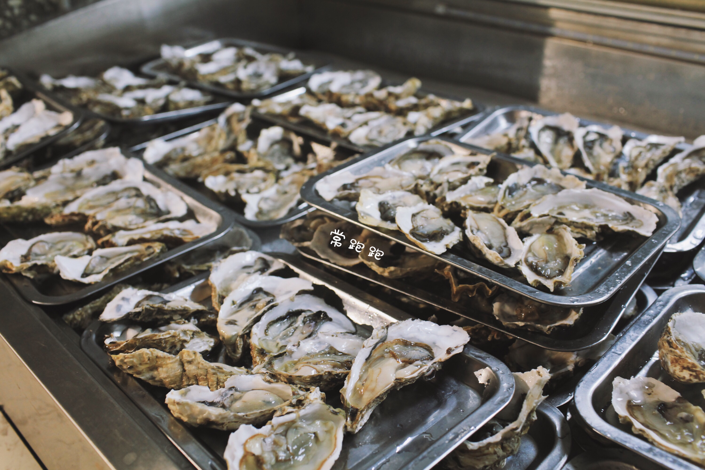 成都网红火锅烧烤,成都烧烤串串推荐