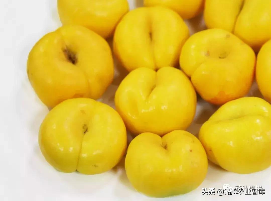 黄蟠桃和黄油蟠桃哪个更好,黄油蟠桃2019