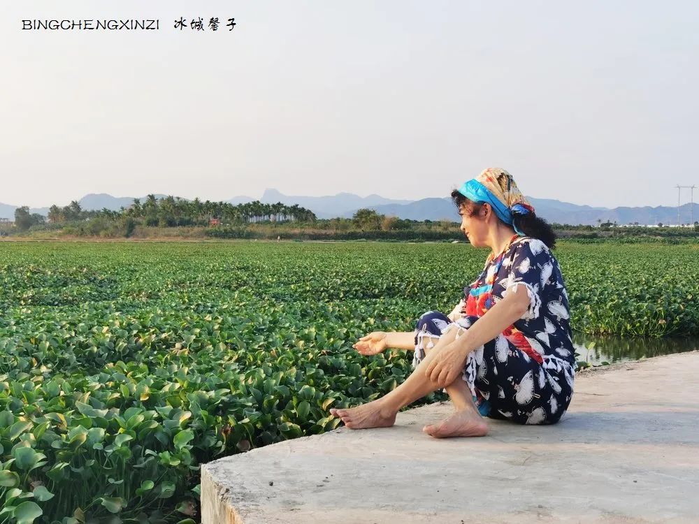 做把“村姑”，走进海南灯火灿烂的火龙果园