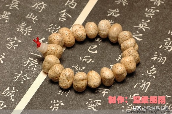 印度菩提子的种类,海南菩提子的种类