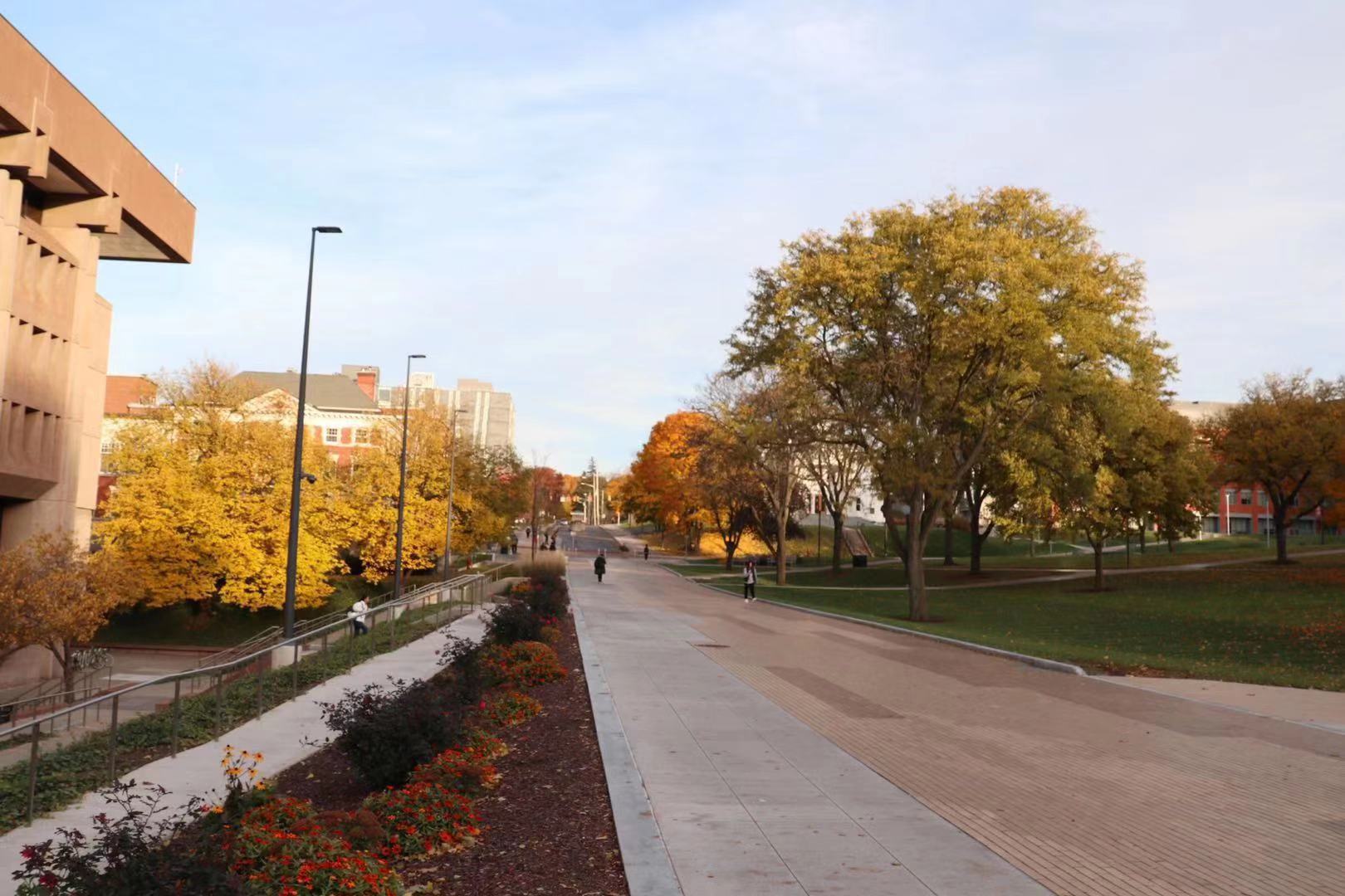 留学德克萨斯大学达拉斯分校,德克萨斯大学达拉斯分校硕士申请