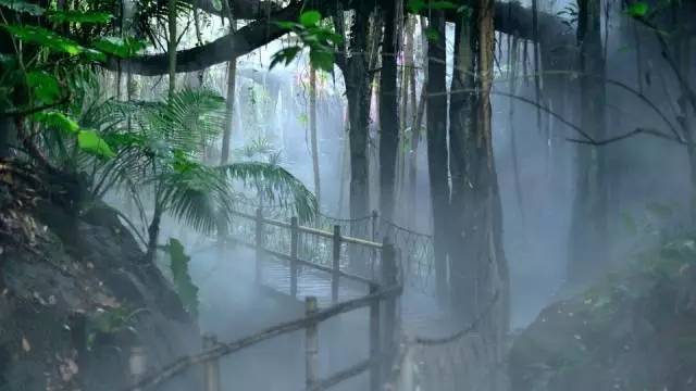 深圳青青世界有什么好玩,深圳青青世界亲子套票