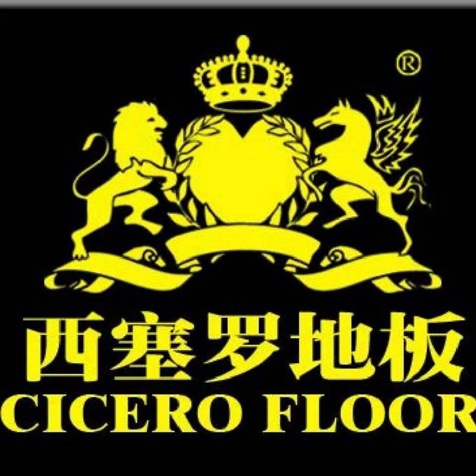 中国十大名牌木地板排名榜,中国运动木地板十大名牌