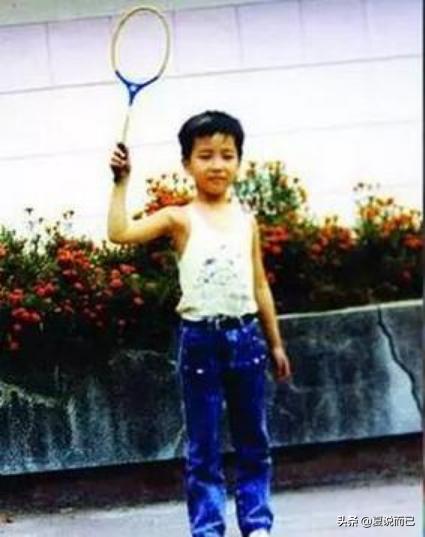 林丹个人感情经历,林丹照片和简介