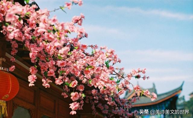 诗人咏过各种花无一佳作，路上偶遇出墙红杏写首经典，一诗成名