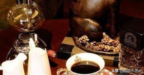 猫屎咖啡给麝香猫带来灭顶之灾,养猫屎咖啡成本