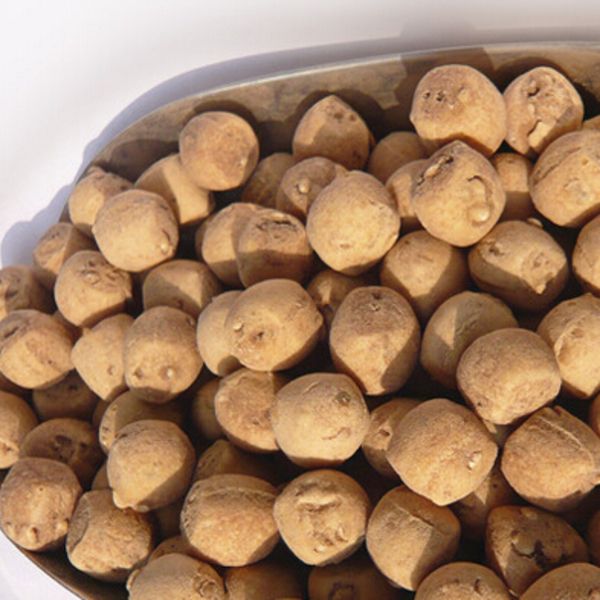 二月二龙抬头吃饺子你猜什么馅,二月二龙抬头吃什么美食图片