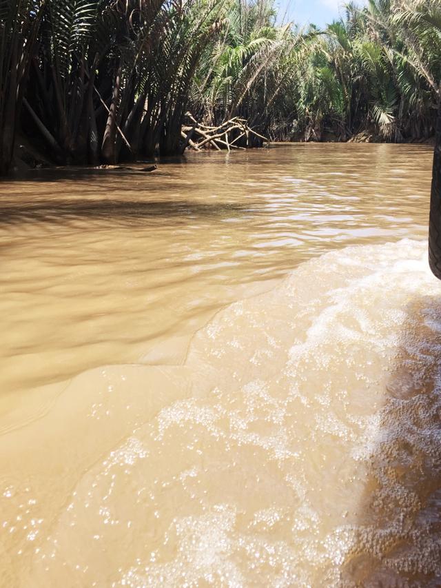 夜游湄公河在哪里看到景点,穿行在路上