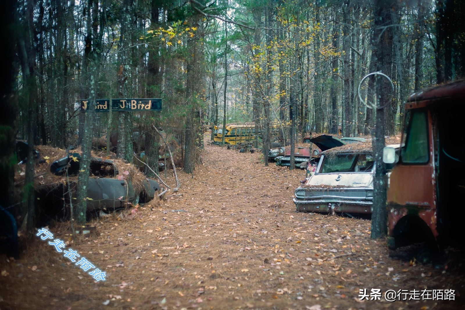 最值钱的废品,最值钱的废品回收