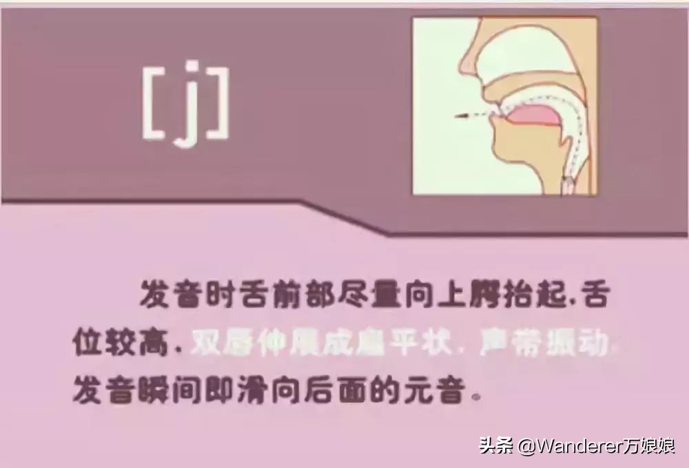 英语48个音标发音附详细图解,音标发音48个正确发音讲解视频