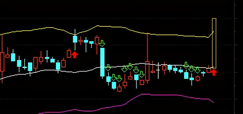 量化炒股利器,量化炒股入门与实战技巧