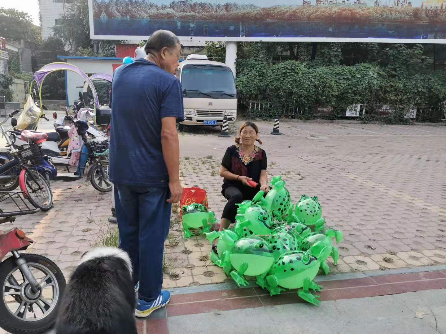 农村阿姨进城卖青蛙，供孙子上大学