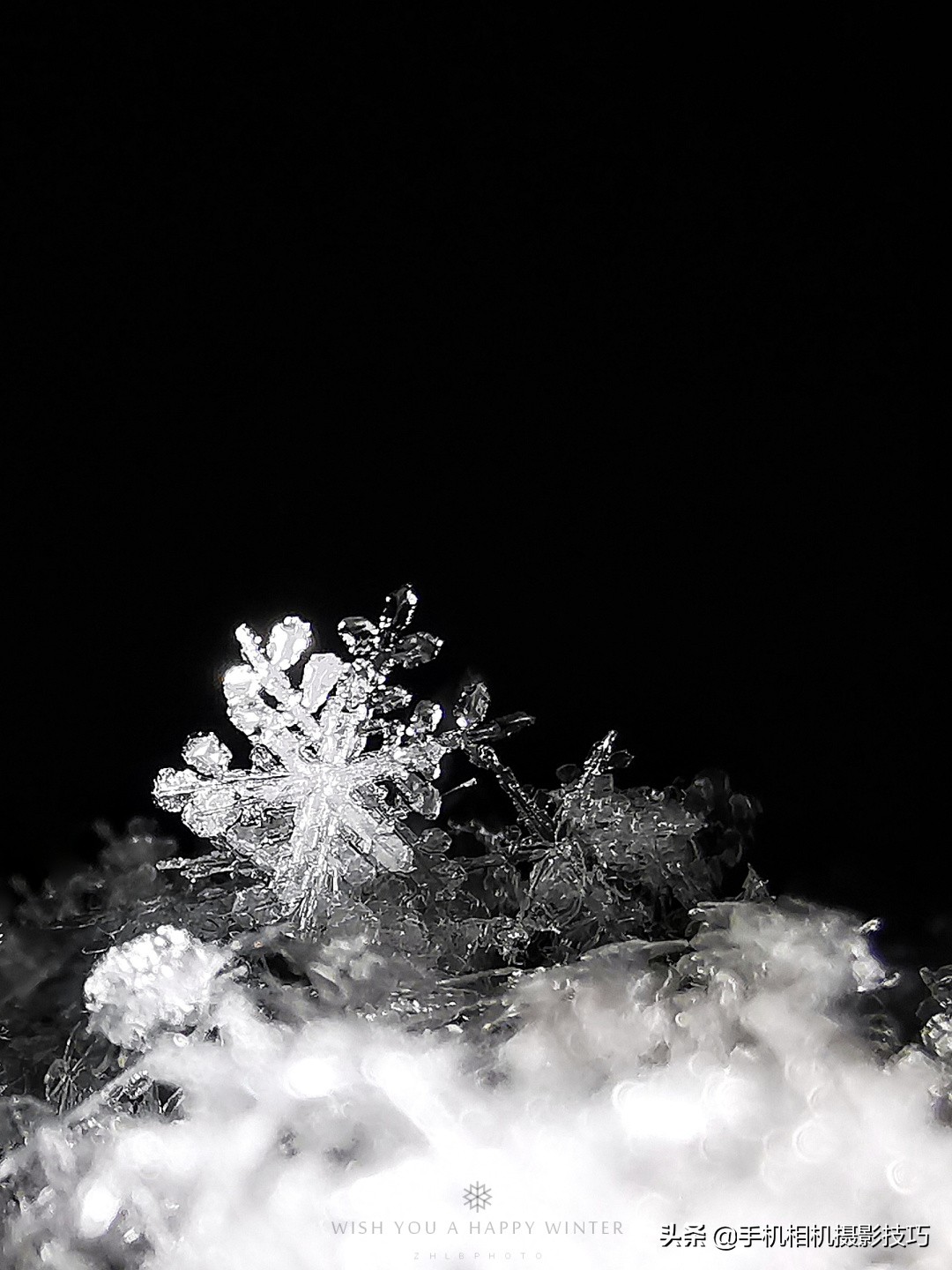 照片加水印哪个软件不丢画质,手机app照片一键加水印