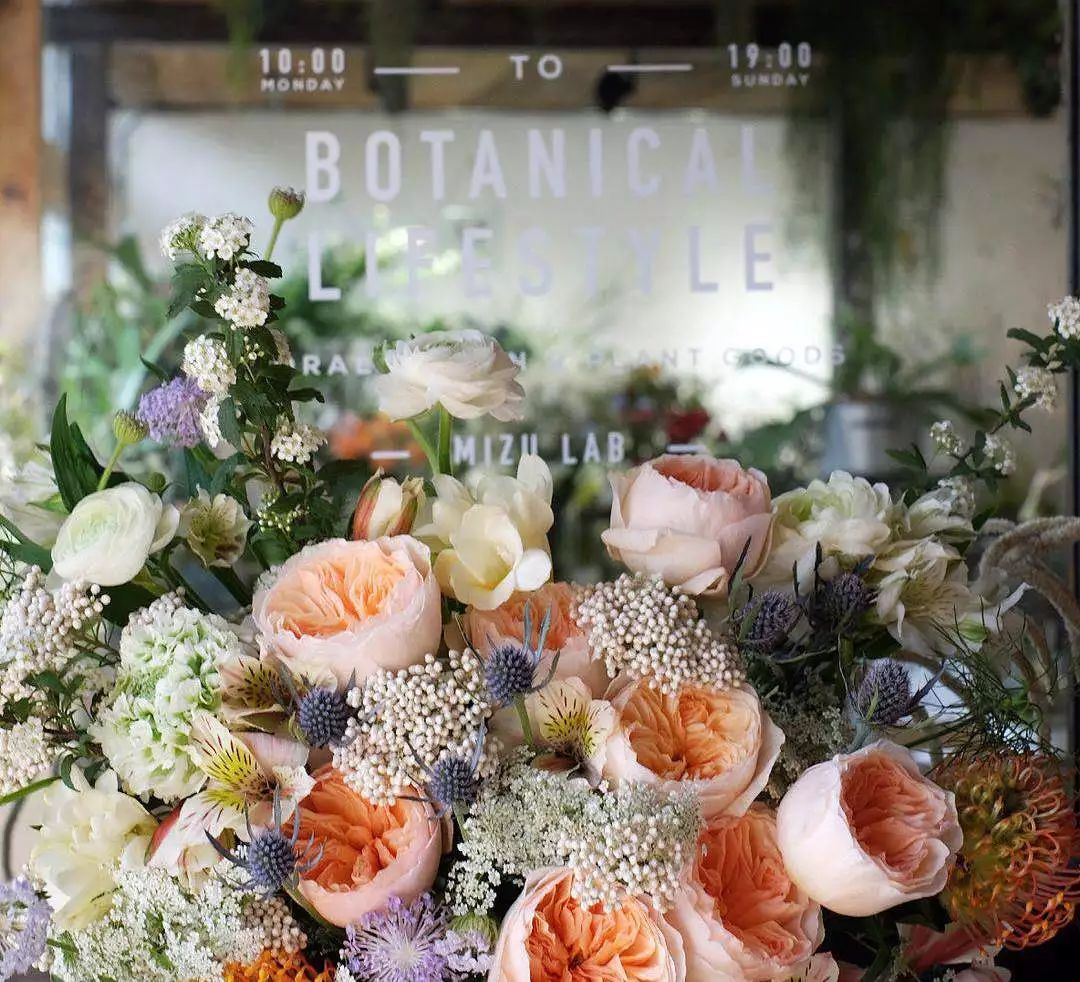 北京最美花店,她放弃了总监职位后续