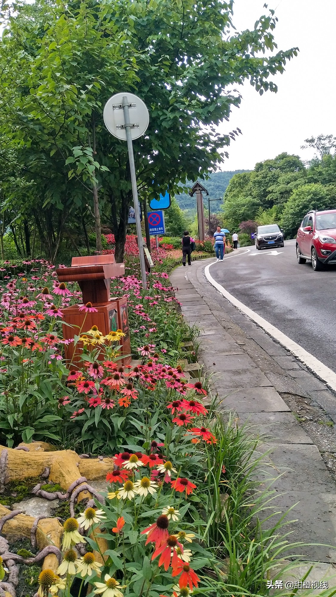 峨眉山七里坪周边旅游攻略,七里坪远看峨眉山金顶